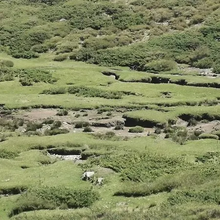 Villa De Tourisme Mare E Macchia Tizzano