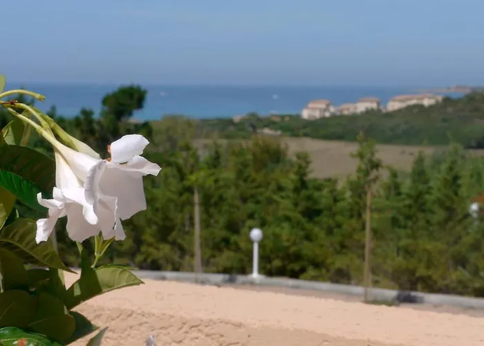 De Tourisme Mare E Macchia Tizzano