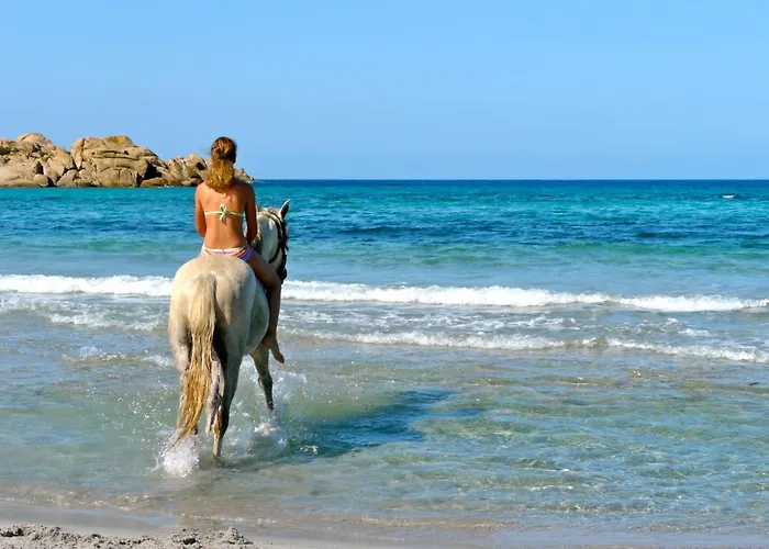 De Tourisme Mare E Macchia Villa